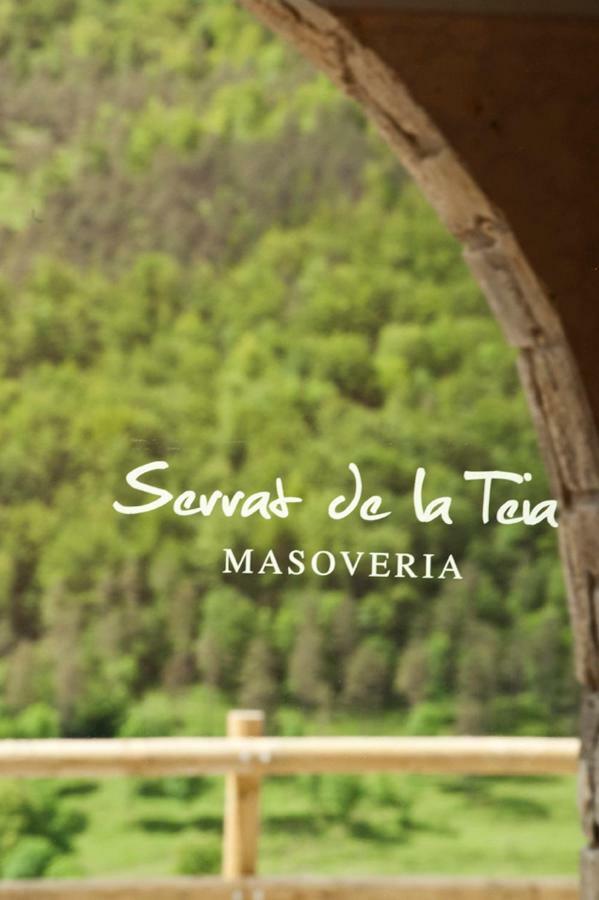 Mas Serrat De La Teia Sant Joan de les Abadesses Eksteriør bilde